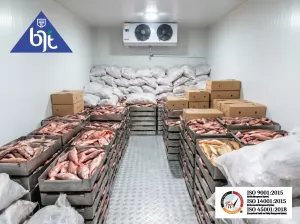 Cold Storage Freezer Ikan Beku: Menjaga Mutu & Profitabilitas Industri Perikanan